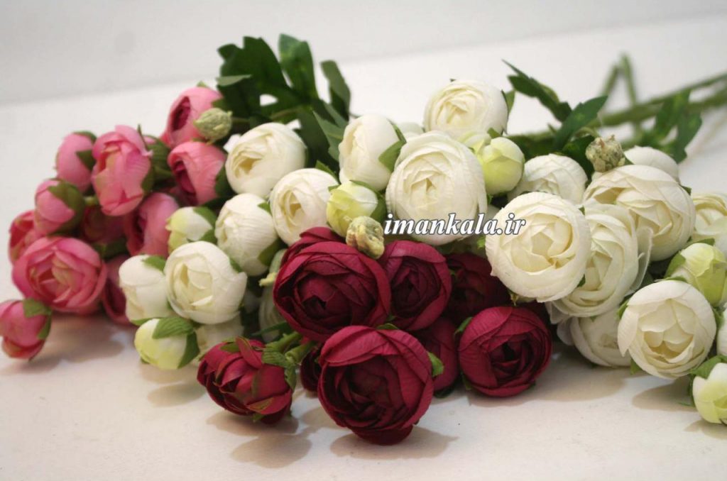 بوته بلند غنچه رز ۰۰۸