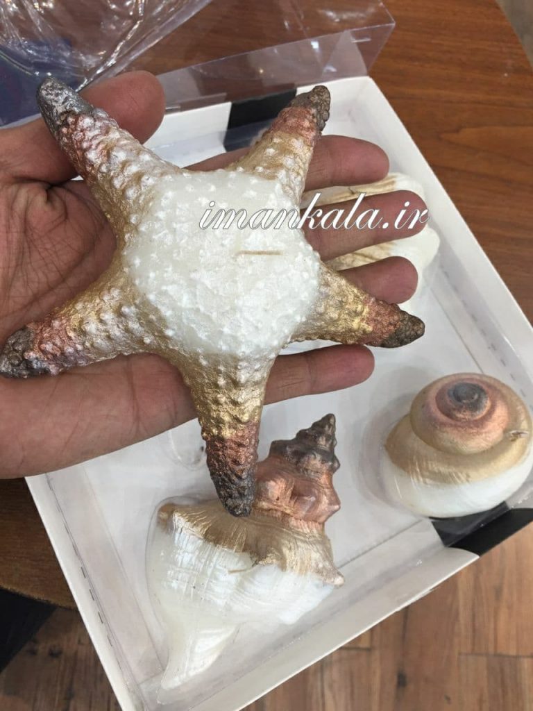 شمع ۴ تایی ستاره حلزون دریایی