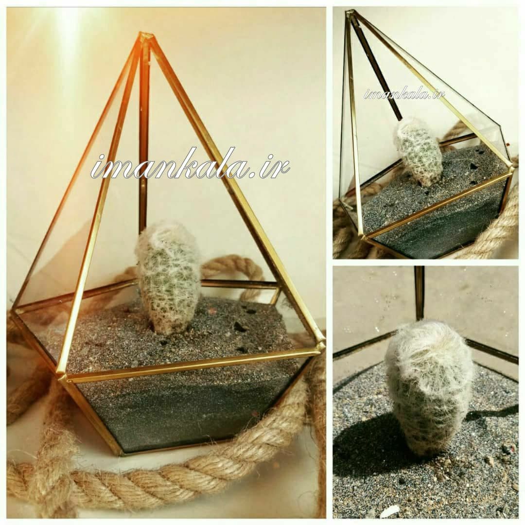گلدان تراریوم چند وجهی برنج آبکاری شده بلور