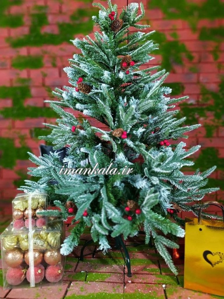 ۲۰۴۱ درخت کاج ارتفاع ۱۲۰ سانت
