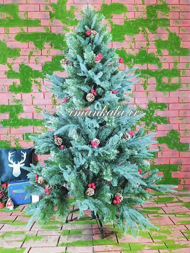 ۲۰۵۶ درخت کاج ارتفاع ۱۵۰ سانت