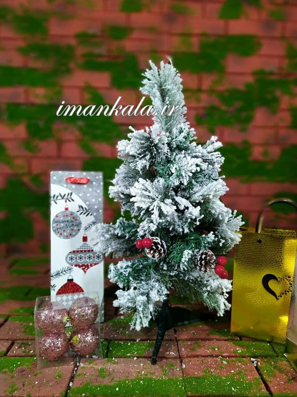 ۲۰۶۹ درخت کاج ارتفاع ۶۰ سانت