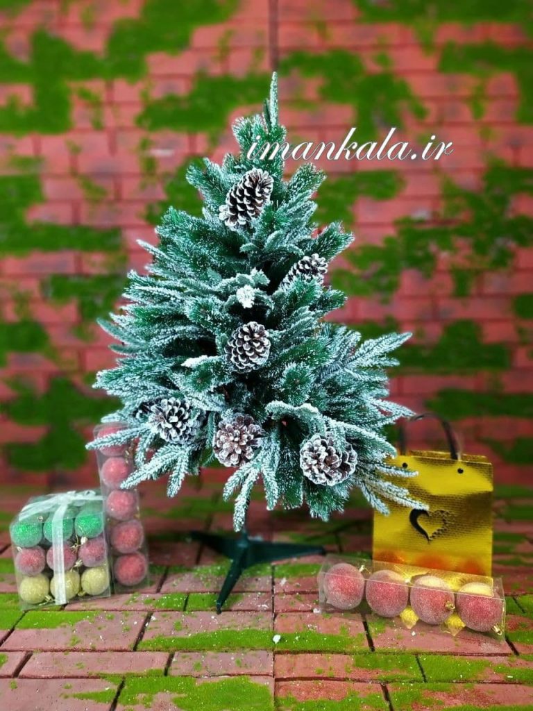 ۲۰۸۰ درخت کاج ارتفاع ۹۰ سانت