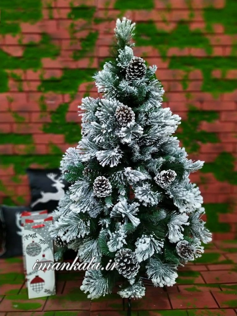 ۲۰۹۶ درخت کاج ارتفاع ۱۲۰ سانت