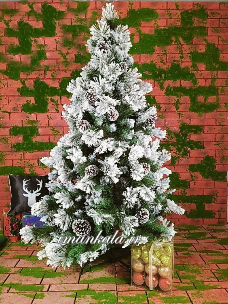 ۲۰۹۷ درخت کاج ارتفاع ۱۵۰ سانت