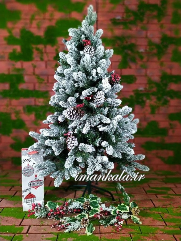 ۲۰۹۹ درخت کاج ارتفاع ۱۲۰ سانت