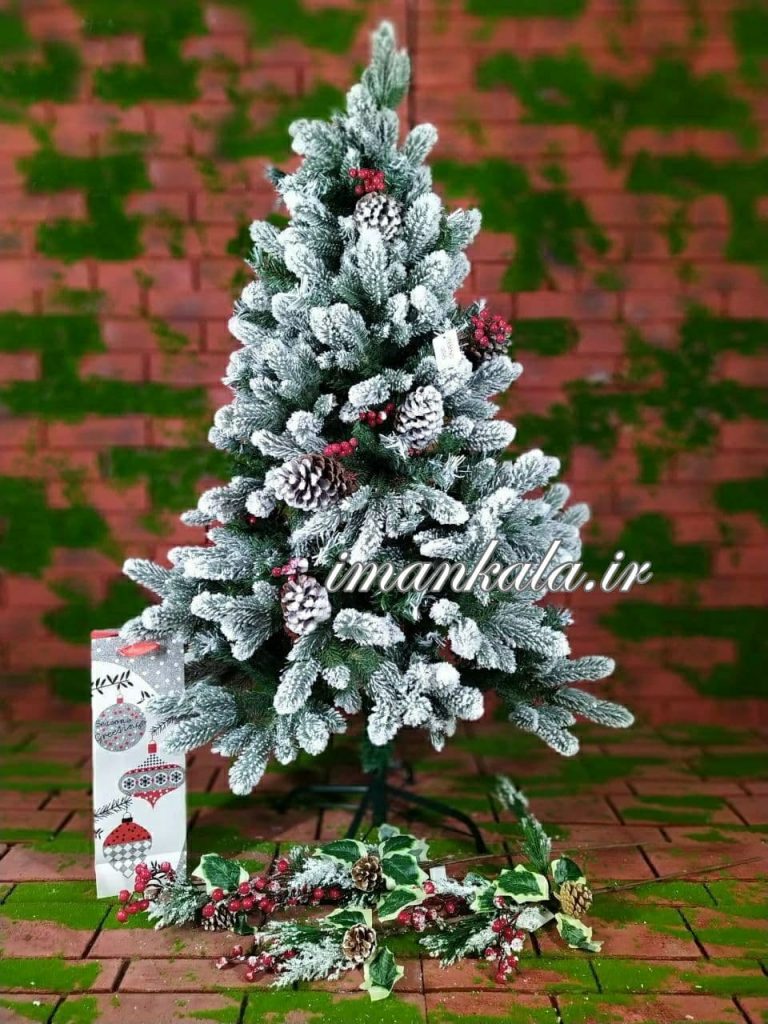 ۲۱۰۰ درخت کاج ارتفاع ۱۵۰ سانت